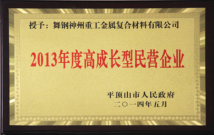 2013年度高成長(cháng)型民營(yíng)企業(yè)